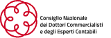 cosiglio nazionale dei dottori commercialisti e degli esperti contabili
